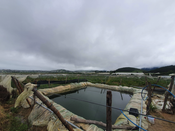 Bán đất Đơn Dương tại xã Pró