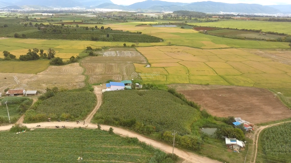 Mua bán Đông Dương xã Tu Tra giá tốt