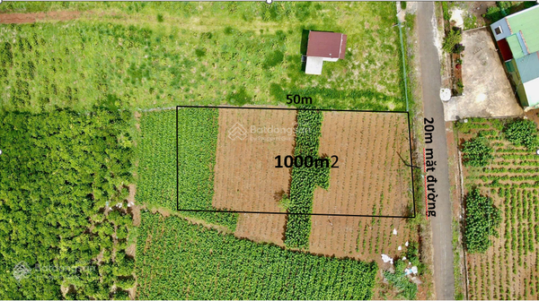 Bán đất Bảo Lâm đường số 21