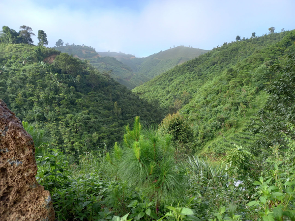 Bán đất vườn Bảo Lâm tại Lộc Thành view đồi săn mây