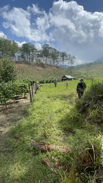 Bán đất vườn Lạc Dương tại xã Đạ Nhim