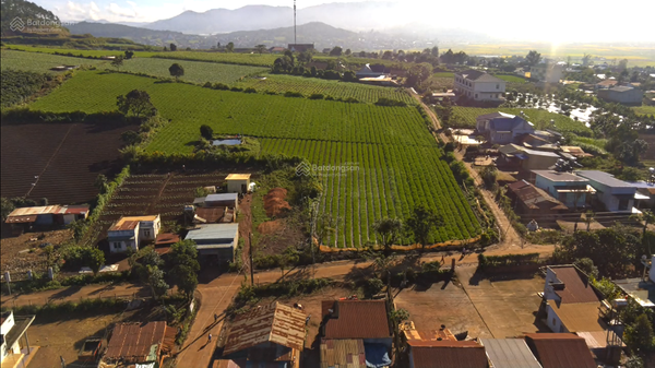 Mua bán đất Đơn Đường DH413