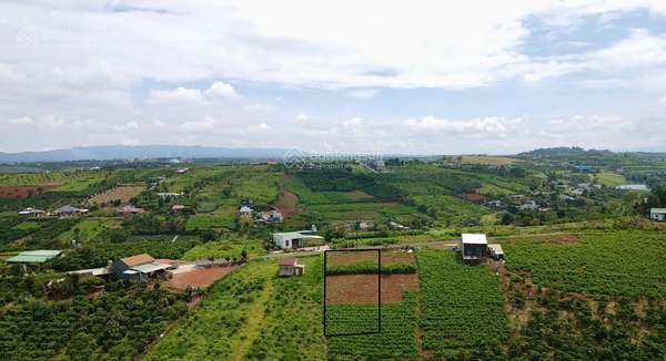 Bán đất Bảo Lâm đường số 21