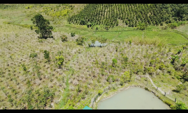 Bán đất Lạc Dương tại xã Đạ Nhim có suối