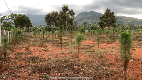 Mua bán đất Di Linh xã Gia Hiệp