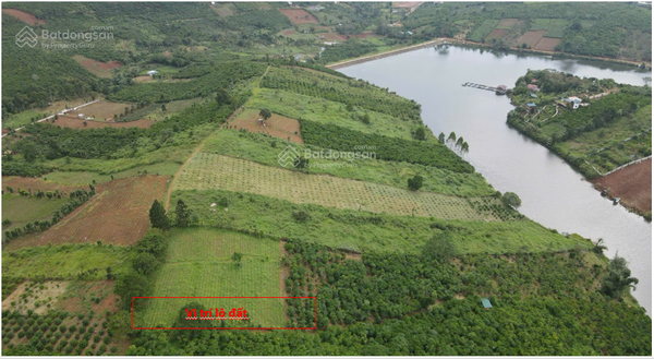 Bán đất Bảo Lâm xã Lộc Tân vuông vức