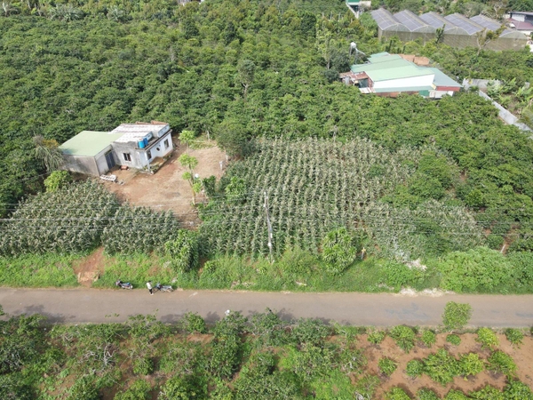 Bán đất Di Linh tại thị trấn Di Linh giá ngộp