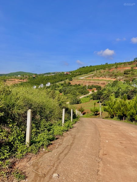 Bán đất Lâm Hà full thổ cư giá ngộp