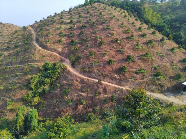Đất vườn Đạ Huoai giá tốt