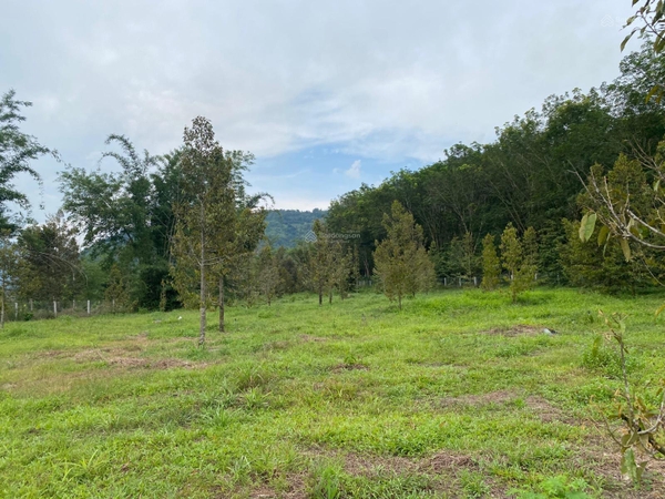 Mua bán đất Đạ Huoai đường Nguyễn Bỉnh Khiêm