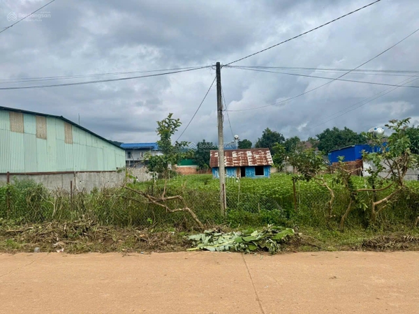 Mua đất Đà Lạt tại Tà Nung giá ngộp