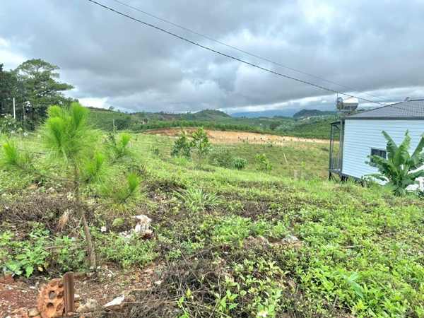 Đất Lâm hà phù hợp đầu tư