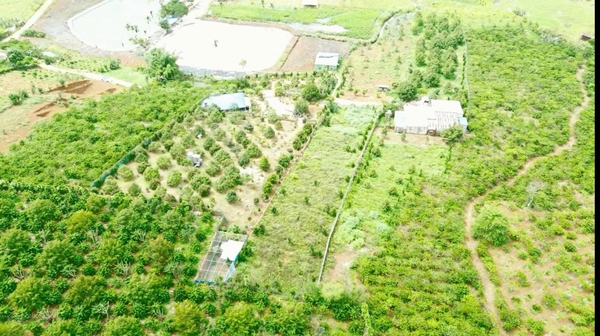 Mua bán đất Di Linh đường Ngô Quyền