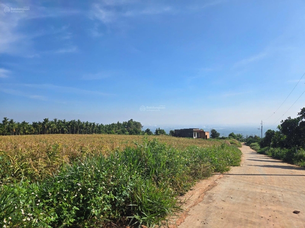 Bán đất Lâm Hà xã Tân Văn giá 350tr