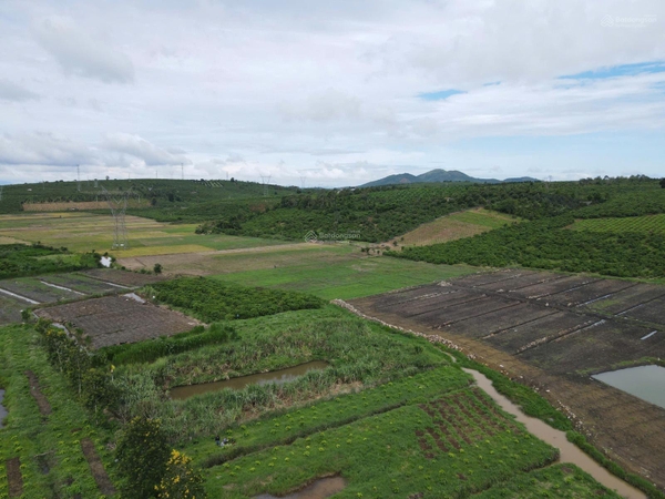 Bán đất Di Linh tại Ngô Quyền