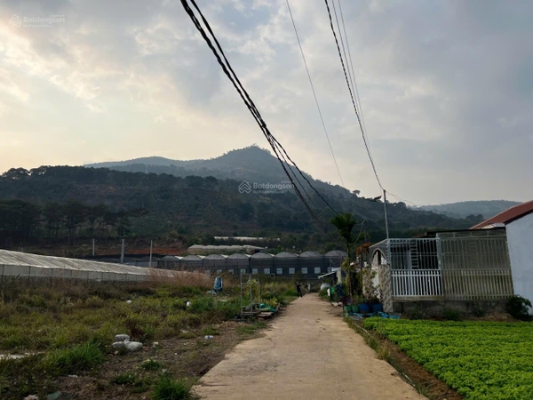Đất nền Đức Trọng gần sân bay Liên Khương