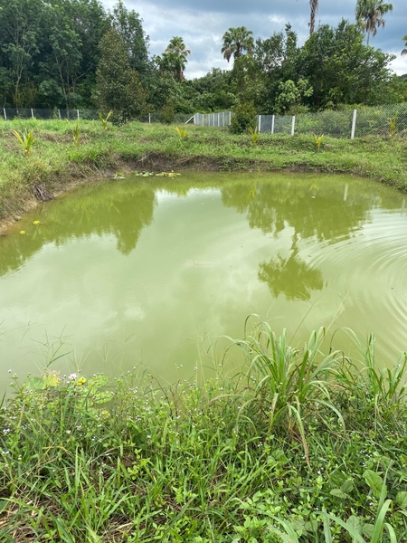 Mua bán đất nền Đạ Huoai đường Đoàn Kết