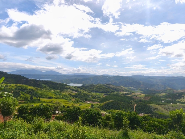 Bán đất Lâm Hà view sông Đồng Nai chính chủ