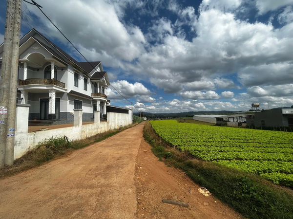 Bán đất vườn Đơn Dương tại xã Đạ Ròn