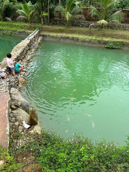 Bán đất Đạ Huoai tại mặt tiền đường nhựa