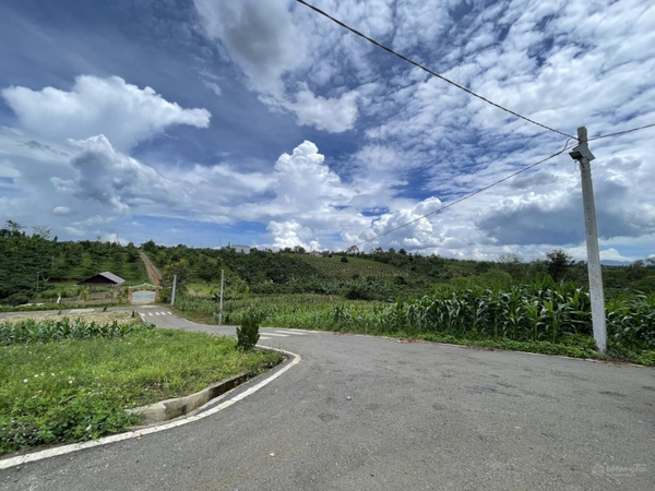 Bán đất Bảo Lâm đường quốc lộ 20 MT 5m