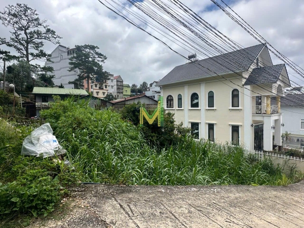 Đất nền Đà Lạt tại Lê Thị Riêng