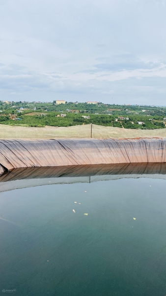 mua bán đất vườn Lâm Hà giá tốt