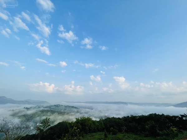 Bán đất Đạ Huoai vị trí săn mây