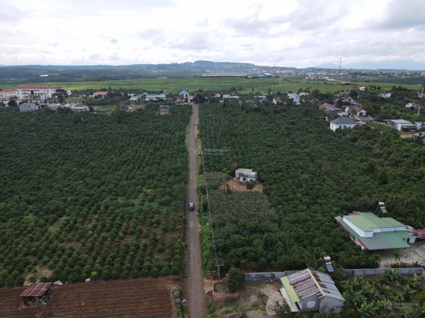 Bán đất Di Linh tại thị trấn Di Linh giá ngộp