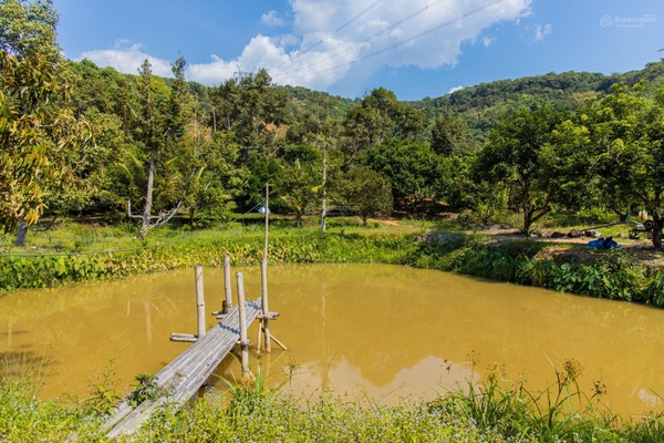 Mua bán biệt thự vườn giá tốt