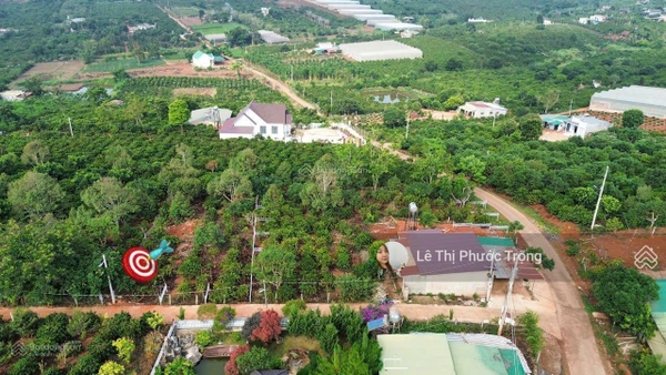 Mua bán đất Lâm Hà tại xã Mê Linh