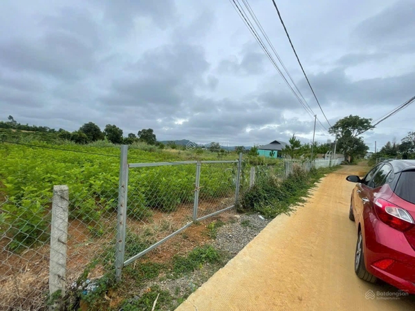 Mua bán đất vườn Di Linh trồng cafe