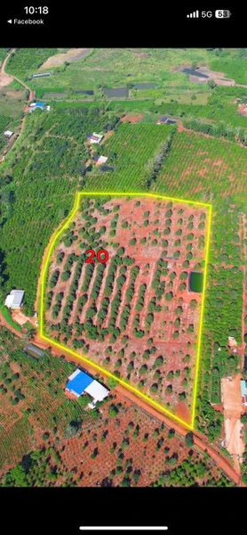 Bán đất nền Lâm Hà tại xã Đan Phượng view săn mây có vườn