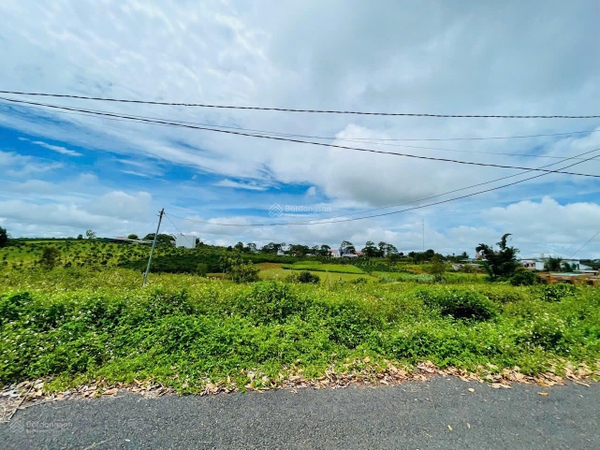 Đất nền Bảo Lộc thổ cư chính chủ