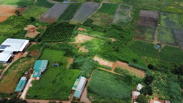 Mua bán đất Đơn Dương tại xã Tu Tra