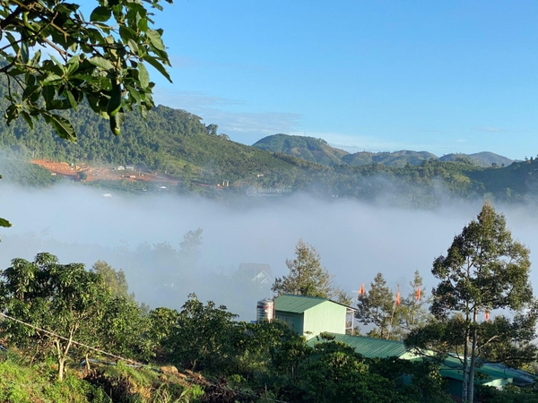 Bán đất Bảo Lâm xã Lộc Thành giá ngộp