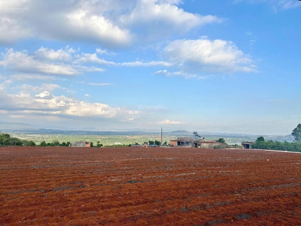 Bán đất Lâm Hà xã Tân Văn giá 350tr