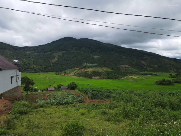 Đất nền Di Linh giá ngộp full thổ cư