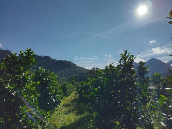 Mua đất nền Đạ Huoai chân đèo