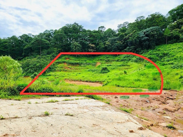 Mua bán đất Đức Trọng diện tích 3500m2