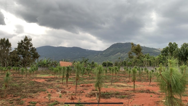 Mua bán đất Di Linh xã Gia Hiệp