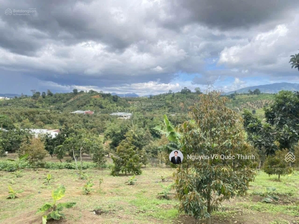 Mua bán đất vườn Đơn Dương giá ngộp