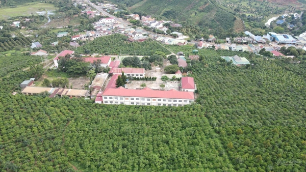Đất Di Linh gần Liên Đầm