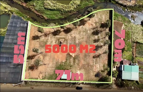 Đất nền Bảo Lộc đường Đào Duy Từ