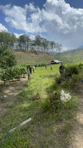 Bán đất vườn Lạc Dương tại xã Đạ Nhim