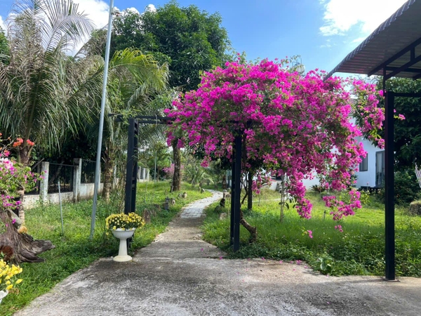 Mua bán biệt thự vườn giá tốt