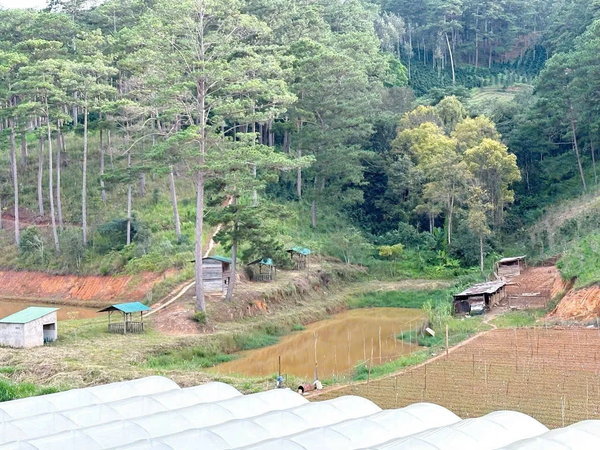 Bán đất nền Đà Lạt tại xã Đạ Nhim có vườn