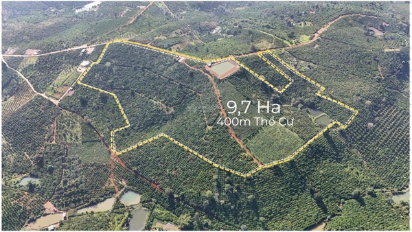 Bán đất Di Linh tại xã Tân Châu view đồi