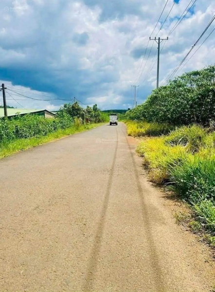 Mua bán đất Di Linh sổ hồng riêng