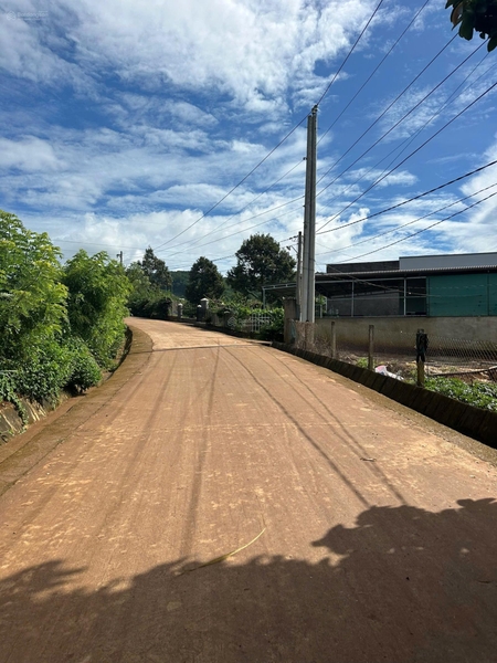 Mua bán đất Đơn Dương chính chủ